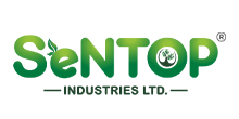 Client 1